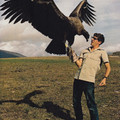 andean condor.jpg