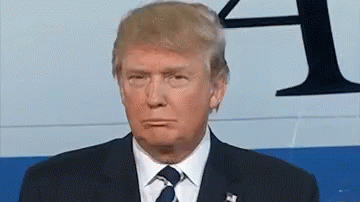 https://kiwicdn.akamaized.net/us-w-1/034f/QhtKGM3WyGHird4FQuZU2.gif