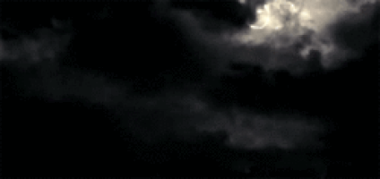 https://kiwicdn.akamaized.net/us-w-1/27c7/5uu4bs1Zn7F3XiDjKkzeRE.gif
