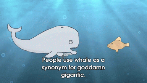https://kiwicdn.akamaized.net/us-w-1/622d/D8AnimEsahL89pB2tQgLxp.gif