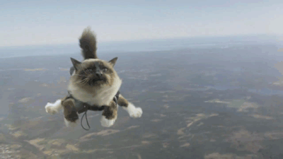 https://kiwicdn.akamaized.net/us-w-1/7152/EzdkvyCsfyXCEjJTmo6AtN.gif