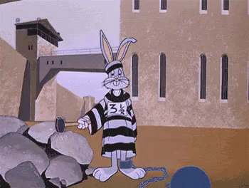 https://kiwicdn.akamaized.net/us-w-1/f22d/WuVmqhUikWa5ZrFpRtFaBK.gif
