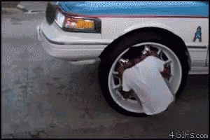 https://kiwicdn.akamaized.net/us-w-1/ff64/YY8xD9J74dMVSyBkz16vAf.gif