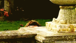 https://kiwicdn.akamaized.net/28b6/62aqnT9ceodQS7JEQ5bGuD.gif