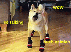 https://kiwicdn.akamaized.net/us-w-1/d16e/Srxvd6Wajs7pAz3QRW8TvA.gif