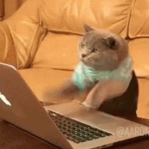 https://kiwicdn.akamaized.net/us-w-1/6af4/ED2M6ranjm7FwFYwXqZ7W4.gif
