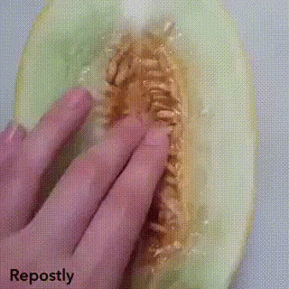 https://kiwicdn.akamaized.net/us-w-1/b657/PWwS4gt7tWxCy2ippUDkWj.gif