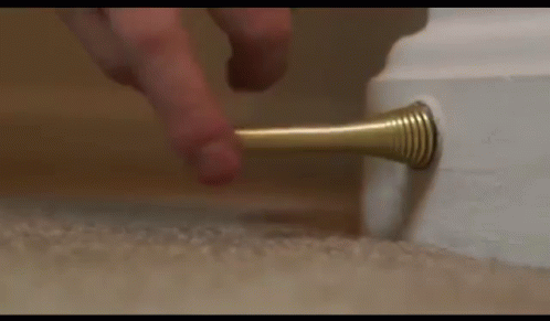 https://kiwicdn.akamaized.net/us-w-1/4dd3/AcQH3bREMgfWeJjp5G5bMv.gif