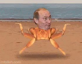 https://kiwicdn.akamaized.net/us-w-1/8c28/JJpVsboKFrqnD9ymPNJG4J.gif