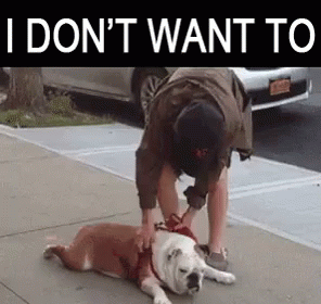https://kiwicdn.akamaized.net/us-w-1/f520/XGdApqjB96La8Amvk5ghNa.gif