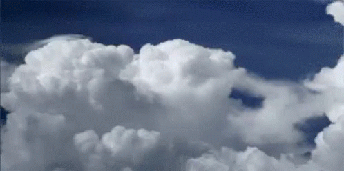 https://kiwicdn.akamaized.net/us-w-1/db85/U7F98R49gMFPzTvLZacqTw.gif
