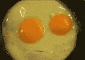 https://kiwicdn.akamaized.net/20f1/54xTFkiGmvCWQVCLJN4LLu.gif