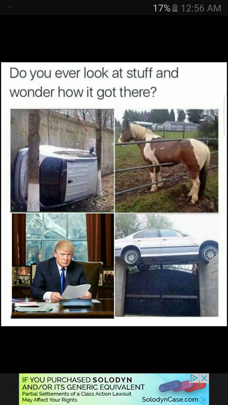 https://kiwicdn.akamaized.net/3fc0/8scNkGbvSGiADuzU67Qi9Z.jpg