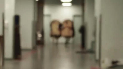 https://kiwicdn.akamaized.net/us-w-1/8f23/JgAj4hJmP9wB86XaXTcByu.gif