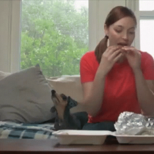 https://kiwicdn.akamaized.net/us-w-1/523a/B9vVDMr54aCmJXxqMwFWj1.gif