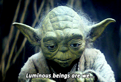 https://kiwicdn.akamaized.net/us-w-1/6095/CvjRji69rS8pSa2yQDPaBu.gif
