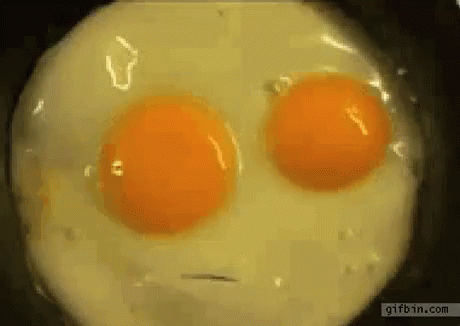 https://kiwicdn.akamaized.net/us-w-1/bd71/QPoz7KabU9yAMVxntR7wKA.gif