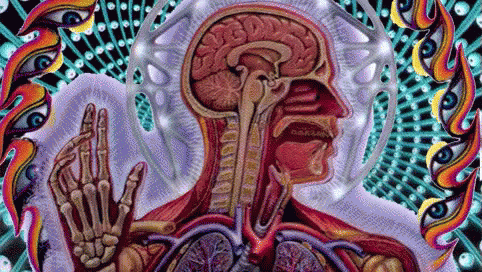 https://kiwicdn.akamaized.net/4cd3/AVEHc64p1XK9X7s2QwiRQK.gif