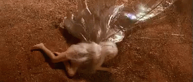 https://kiwicdn.akamaized.net/us-w-1/03a1/T1scJ5tQWMNwukgRrRR94.gif