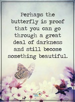 https://kiwicdn.akamaized.net/6eaa/Efc9nAj3G1ZM1QDunVC1R7_150.jpg