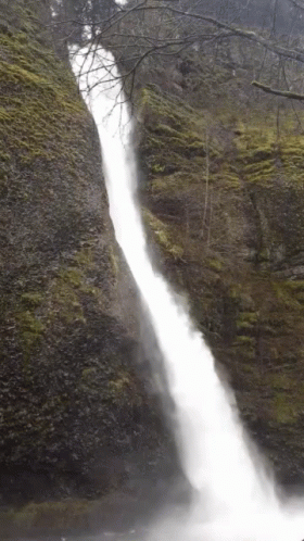 https://kiwicdn.akamaized.net/us-w-1/4166/95QuruTTeMFoLDAeQtpQmW.gif