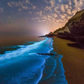 Bioluminescent_Phytoplankton_In_The_Persian_Gulf.jpg