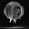 Nuclear_Explosion_Less_Than_One_Millisecond_After_Detonation_1952_.jpg