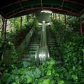 abandoned_escalator.jpg