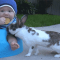 bunny_stealing_cookie_from_baby.gif