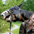 horse_and_girl_laughing.webp