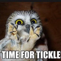 time_for_tickles.jpg
