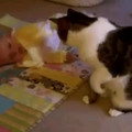 baby and cat.mp4