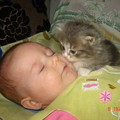 baby_with_kitten.jpg