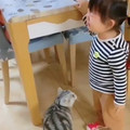 CCTV_IDIOTS - My sisters cat does this when my niece is crying 😻-1219305876500221957.mp4
