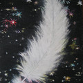 Angel_Feather_in_the_night_by_Harmina.jpg