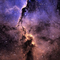 Nebula_elefante.jpg