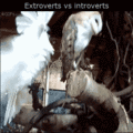 extroverts_vs._introverts.gif