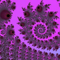 fractal_l4.jpg