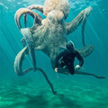 ginormous_octopus.jpg