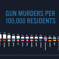 gun_murders_stats_1_.jpg