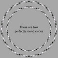 illusion-perfectly_round_circles.jpg