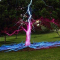 lightningtree.jpg