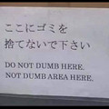 do_not_dumb_here.jpg