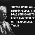 mark-twain-never-argue-with-stupid-people.jpg