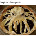 the_plural_of_octopus.jpeg