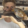 German-insect-breeder-presents-a-giant-snail-that-will-make-you-impress-59d345a2bc1de_880.jpg