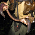 giant_South_African_earthworm.webp