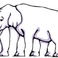 optical illusion - elephant.jpg