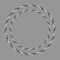 optical illusion 10b.jpeg