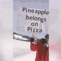 pineapple_belongs_on_pizza.mp4
